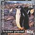 Gentoo Penguin Pygoscelis papua  2011 Frozen planet Sheet