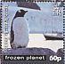 Gentoo Penguin Pygoscelis papua  2011 Frozen planet Sheet