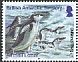 Chinstrap Penguin Pygoscelis antarcticus