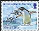 Adelie Penguin Pygoscelis adeliae