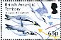 Antarctic Tern Sterna vittata  2014 Food web 9v sheet