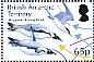 Emperor Penguin Aptenodytes forsteri  2014 Food web 9v sheet