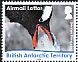 Gentoo Penguin Pygoscelis papua  2016 Lifecycle of the Gentoo Penguin 