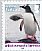 Gentoo Penguin Pygoscelis papua  2016 Lifecycle of the Gentoo Penguin sa