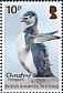 Chinstrap Penguin Pygoscelis antarcticus  2018 Penguin definitives 