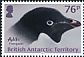 Adelie Penguin Pygoscelis adeliae