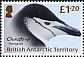 Chinstrap Penguin Pygoscelis antarcticus  2018 Penguin definitives 