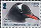 Gentoo Penguin Pygoscelis papua  2018 Penguin definitives 