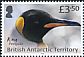 King Penguin Aptenodytes patagonicus  2018 Penguin definitives 