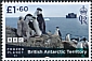 Chinstrap Penguin Pygoscelis antarcticus  2023 Frozen Planet II 4v set