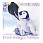 Emperor Penguin Aptenodytes forsteri  2023 Emperor Penguin postcard rate, sa 