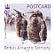 Emperor Penguin Aptenodytes forsteri  2023 Emperor Penguin postcard rate, sa 