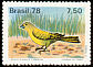 Saffron Finch Sicalis flaveola  1978 Birds 