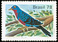 Banded Cotinga Cotinga maculata  1978 Birds 
