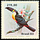 Channel-billed Toucan Ramphastos vitellinus  1983 Toucans 