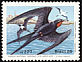 Magnificent Frigatebird Fregata magnificens  1985 Abrolhos national park 