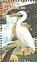 Great Egret Ardea alba