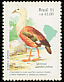 Orinoco Goose Neochen jubata  1991 United Nations conference on environment 