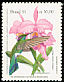 White-vented Violetear Colibri serrirostris  1991 Brapex VIII 