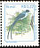 Fork-tailed Flycatcher Tyrannus savana  1997 Definitives 