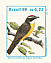 Social Flycatcher Myiozetetes similis  1998 Definitives sa