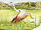 Cocoi Heron Ardea cocoi  2001 Pantanal 10v booklet, sa