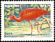 Scarlet Ibis Eudocimus ruber  2004 Guara 