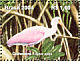 Roseate Spoonbill Platalea ajaja  2004 Preservation of mangroves and coastal habitats 5v sheet