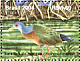 Little Wood Rail Aramides mangle  2004 Preservation of mangroves and coastal habitats 5v sheet