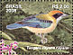 Burnished-buff Tanager Stilpnia cayana  2008 Serra do Japi 2v sheet