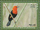 Scarlet-headed Blackbird Amblyramphus holosericeus  2009 Colourful birds Sheet