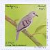 Purple-winged Ground Dove Paraclaravis geoffroyi  2017 Brazilian birds, Birdpex 8, sa 