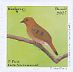 Blue-eyed Ground Dove Columbina cyanopis  2017 Brazilian birds, Birdpex 8, sa 