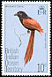 Malagasy Coucal Centropus toulou  1975 Birds 