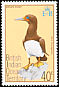 Brown Booby Sula leucogaster  1975 Birds 
