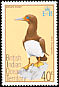 Brown Booby Sula leucogaster