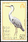 Grey Heron Ardea cinerea  1975 Birds 