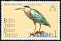 Striated Heron Butorides striata