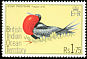 Lesser Frigatebird Fregata ariel  1975 Birds 