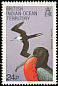 Great Frigatebird Fregata minor  1990 Birds 