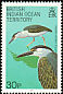 Striated Heron Butorides striata  1990 Birds 