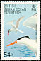 Lesser Crested Tern Thalasseus bengalensis  1990 Birds 