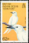 White Tern Gygis alba