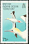 Red-footed Booby Sula sula  1990 Birds 