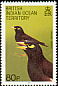 Common Myna Acridotheres tristis  1990 Birds 