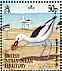 Crab-plover Dromas ardeola  2001 BirdLife International Sheet