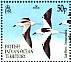 Crab-plover Dromas ardeola  2001 BirdLife International Sheet