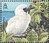 Red-footed Booby Sula sula  2002 BirdLife International Sheet
