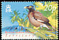 Common Myna Acridotheres tristis  2004 Birds definitives 