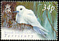 White Tern Gygis alba